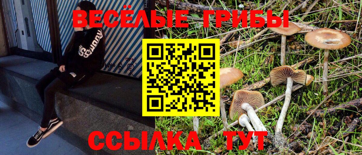 Галлюциногенные грибы MAGIC MUSHROOMS  Вход с VPN  Йошкар-Ола 
